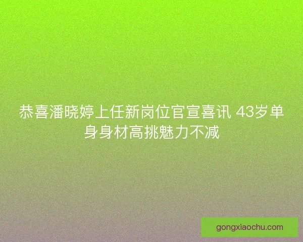 恭喜潘晓婷上任新岗位官宣喜讯 43岁单身身材高挑魅力不减