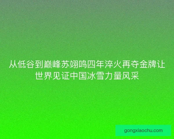 从低谷到巅峰苏翊鸣四年淬火再夺金牌让世界见证中国冰雪力量风采